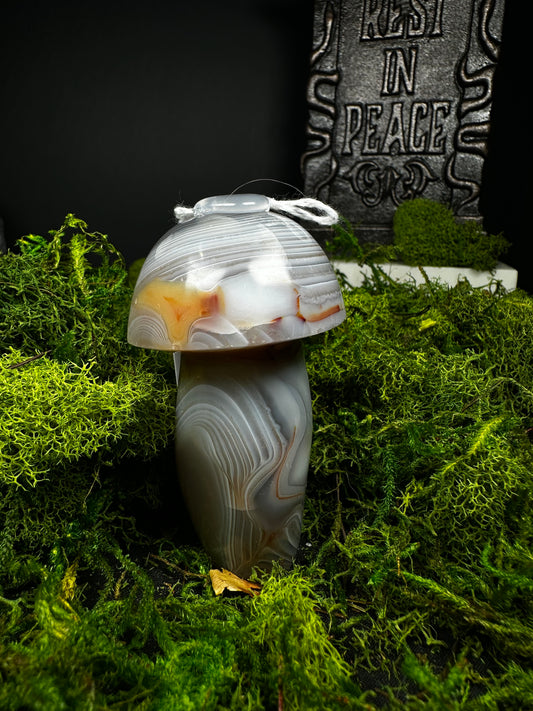 Agate Mushroom
