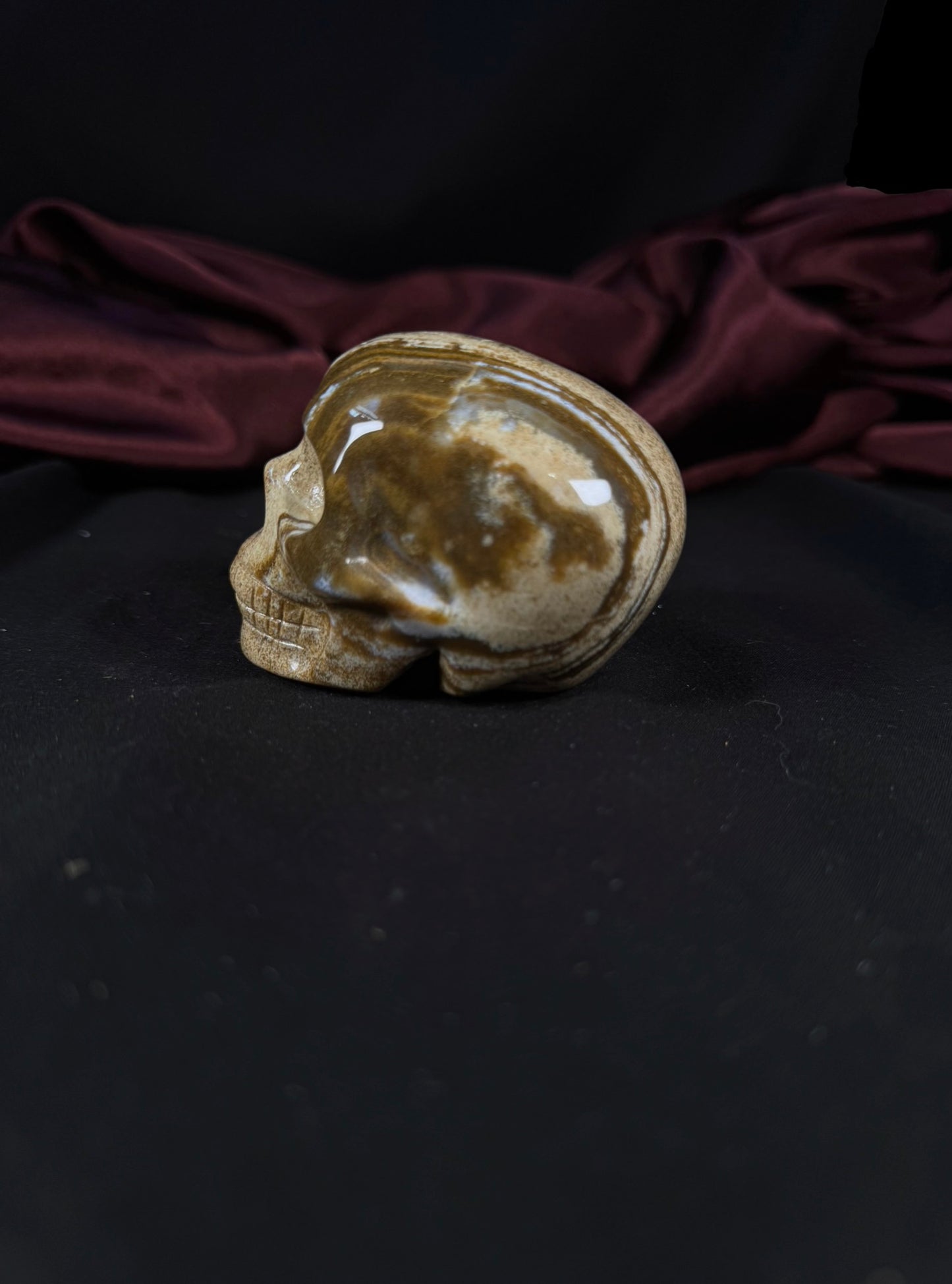 Brown Aragonite Skull