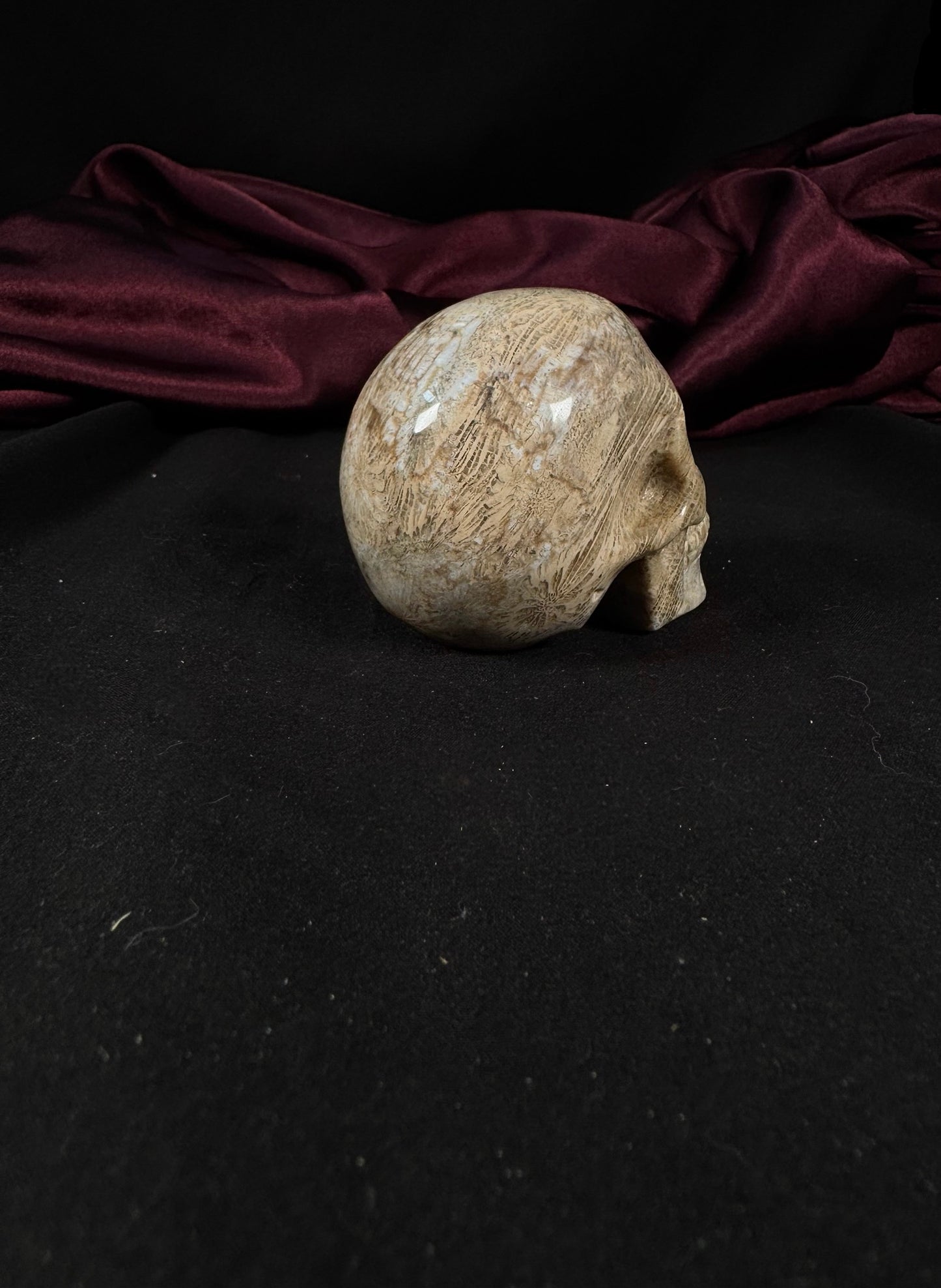 Coral Jasper Skull