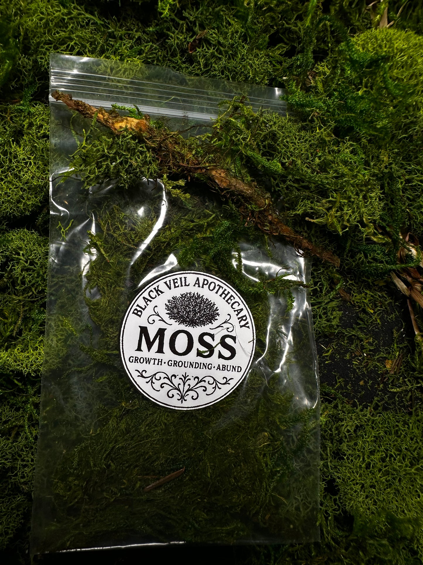 Moss