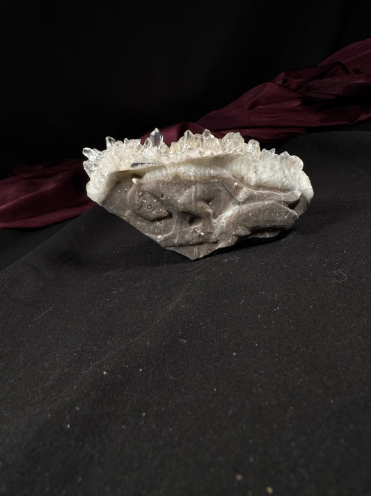 Clear Quartz Buffalo