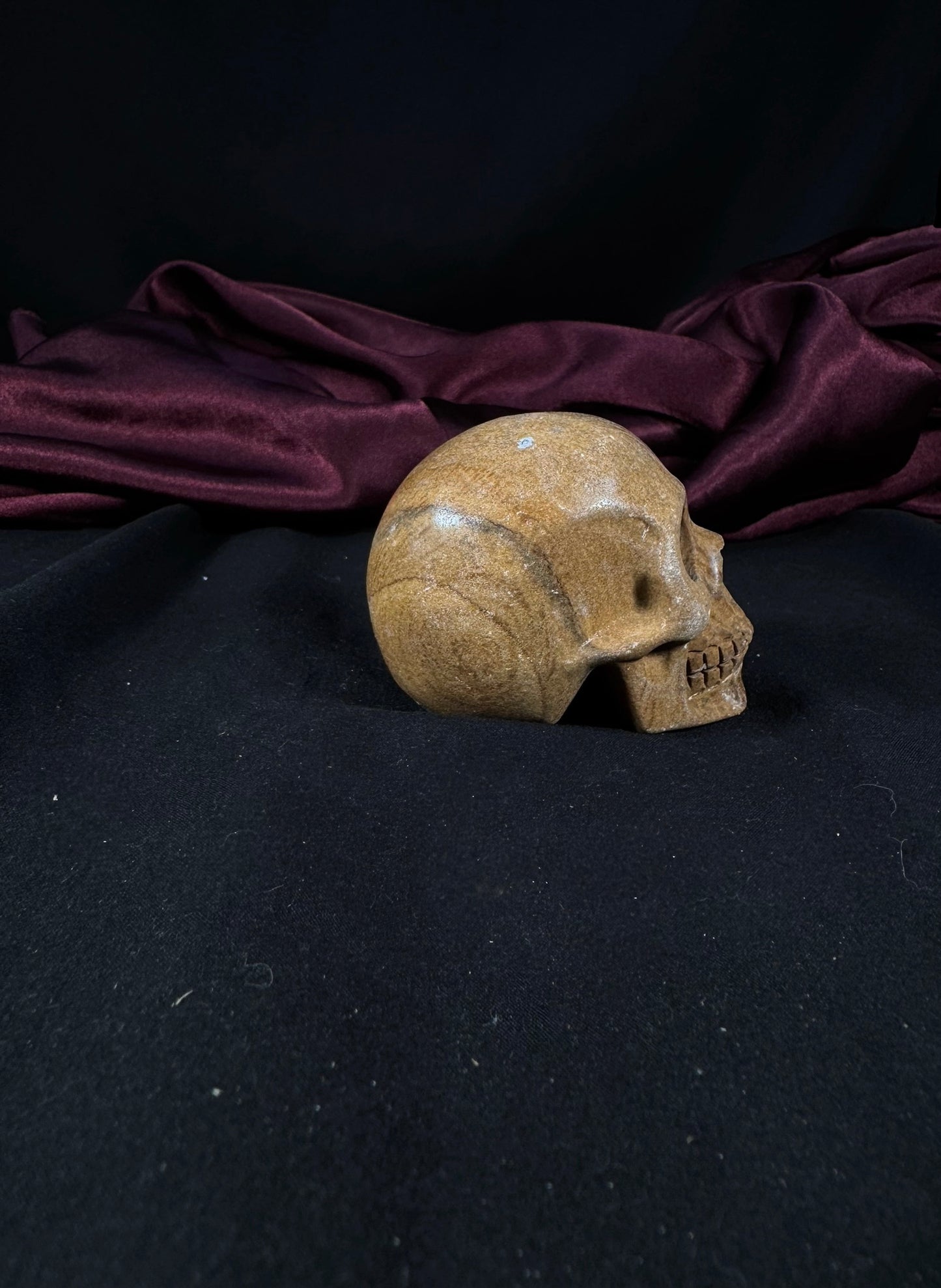 Petrified Wood Skull