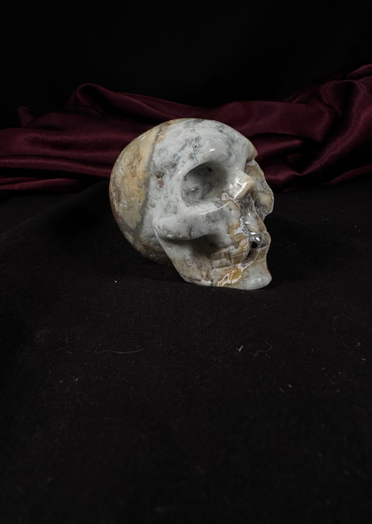 Crazy Lace Agate Skull