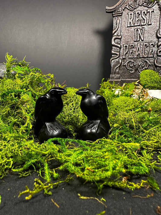 Black Obsidian Ravens