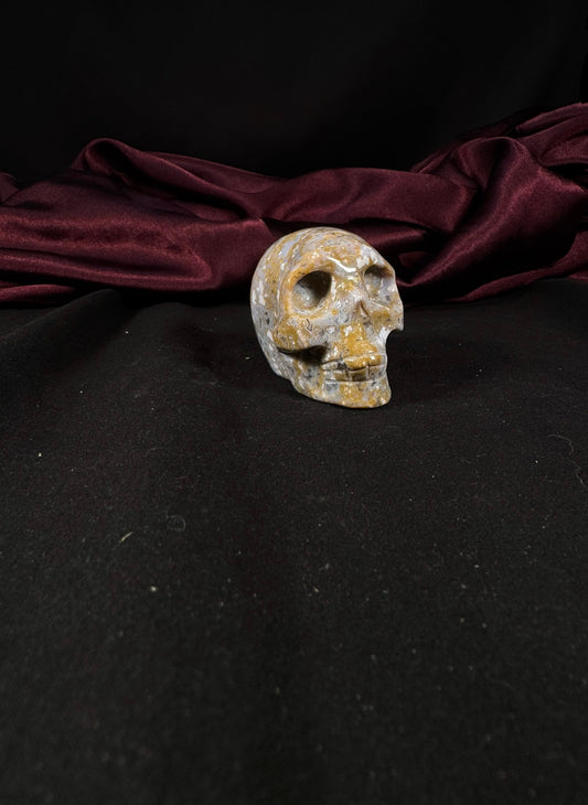 Ocean Jasper Skull