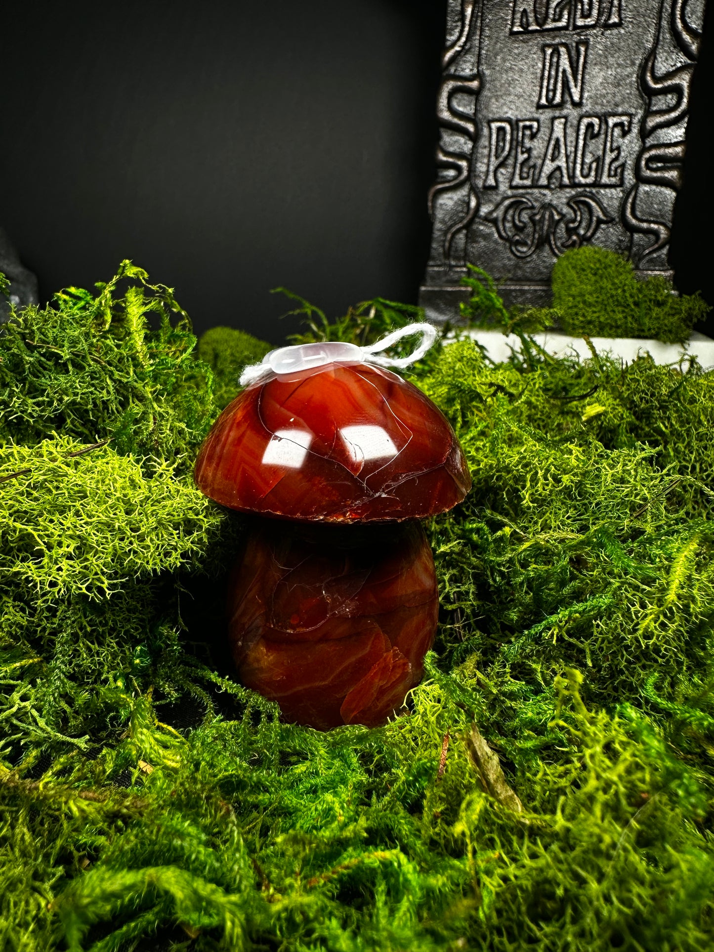 Carnelian Mushroom