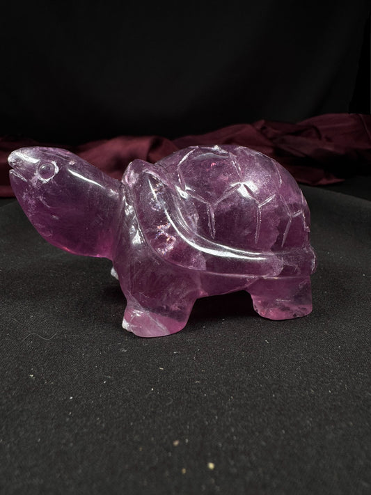 Purple Fluorite Turtle