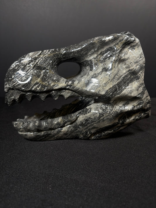 Dinosaur Skull