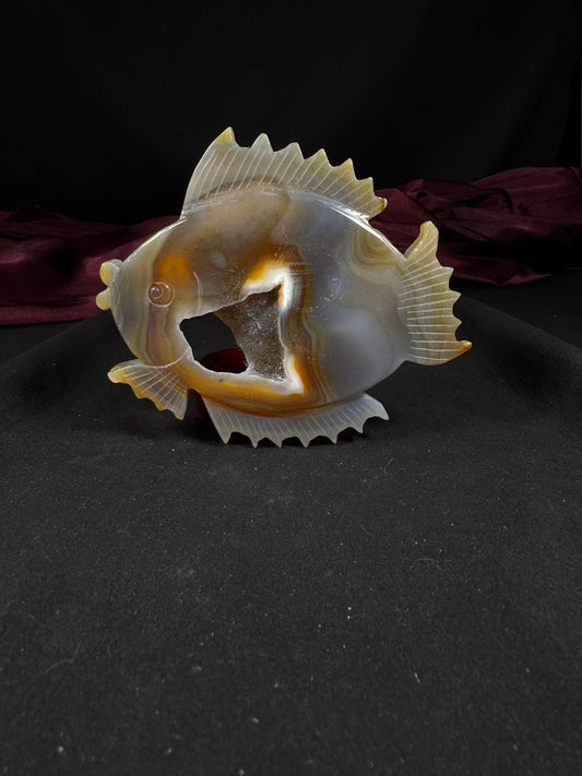 Agate Fish with Durzy