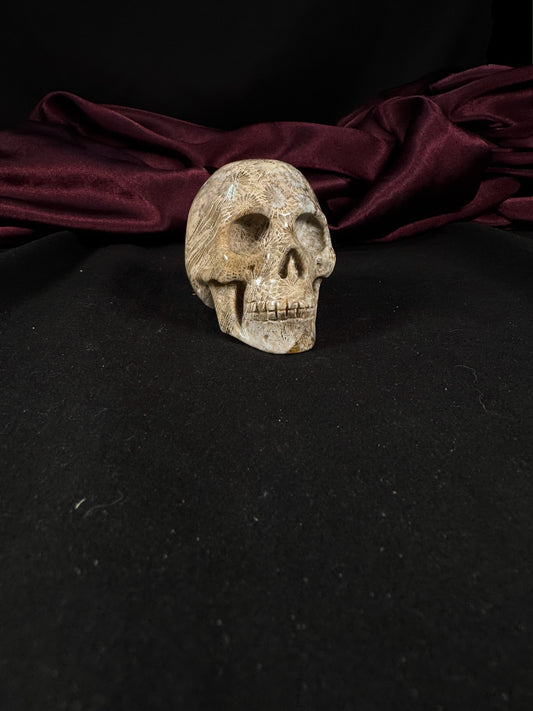 Coral Jasper Skull