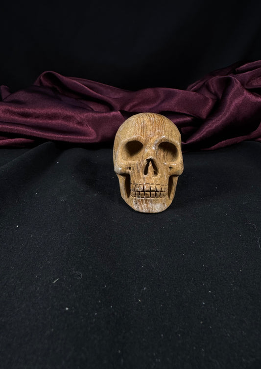 Petrified Wood Skull