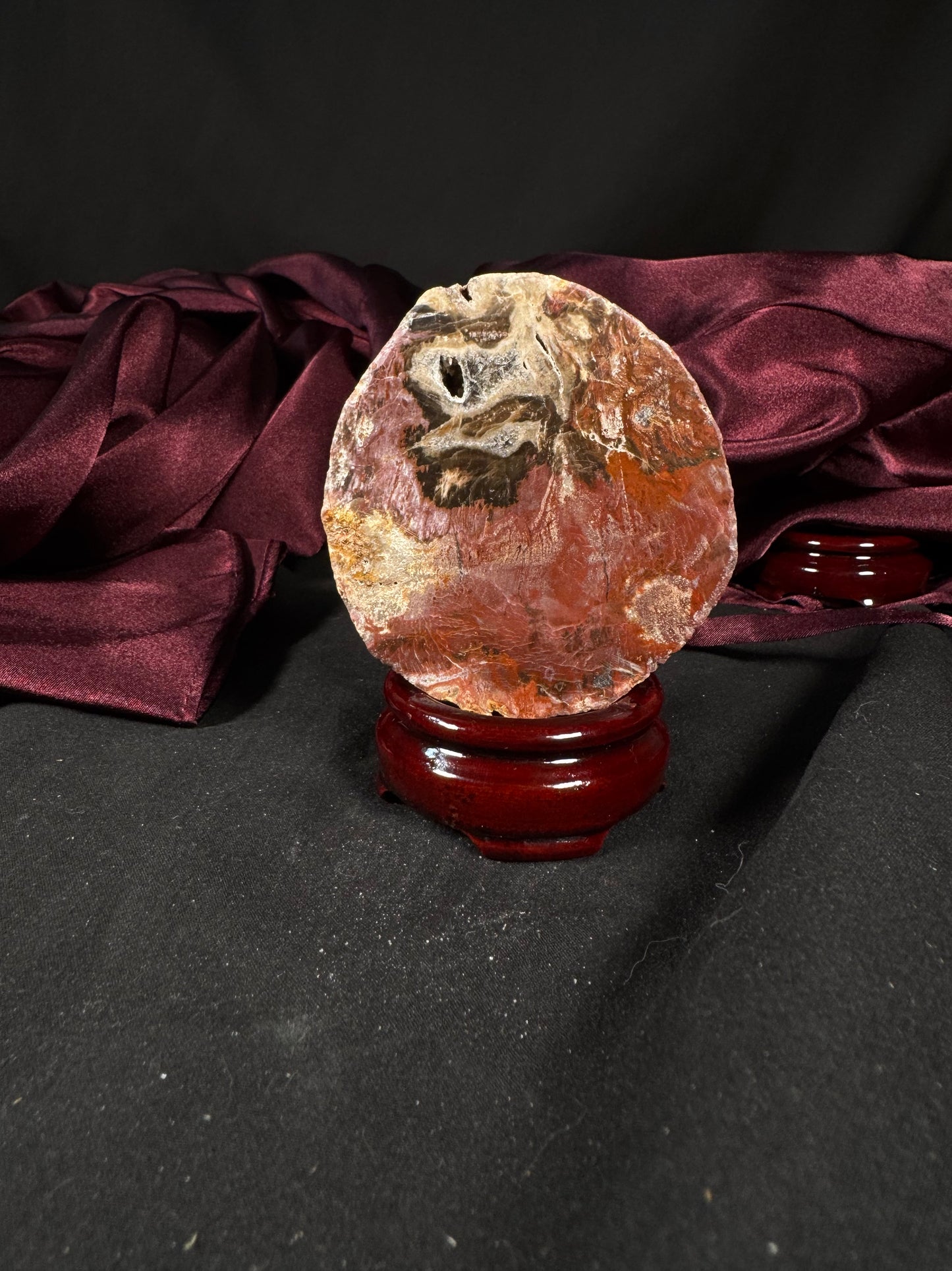 Petrified Wood