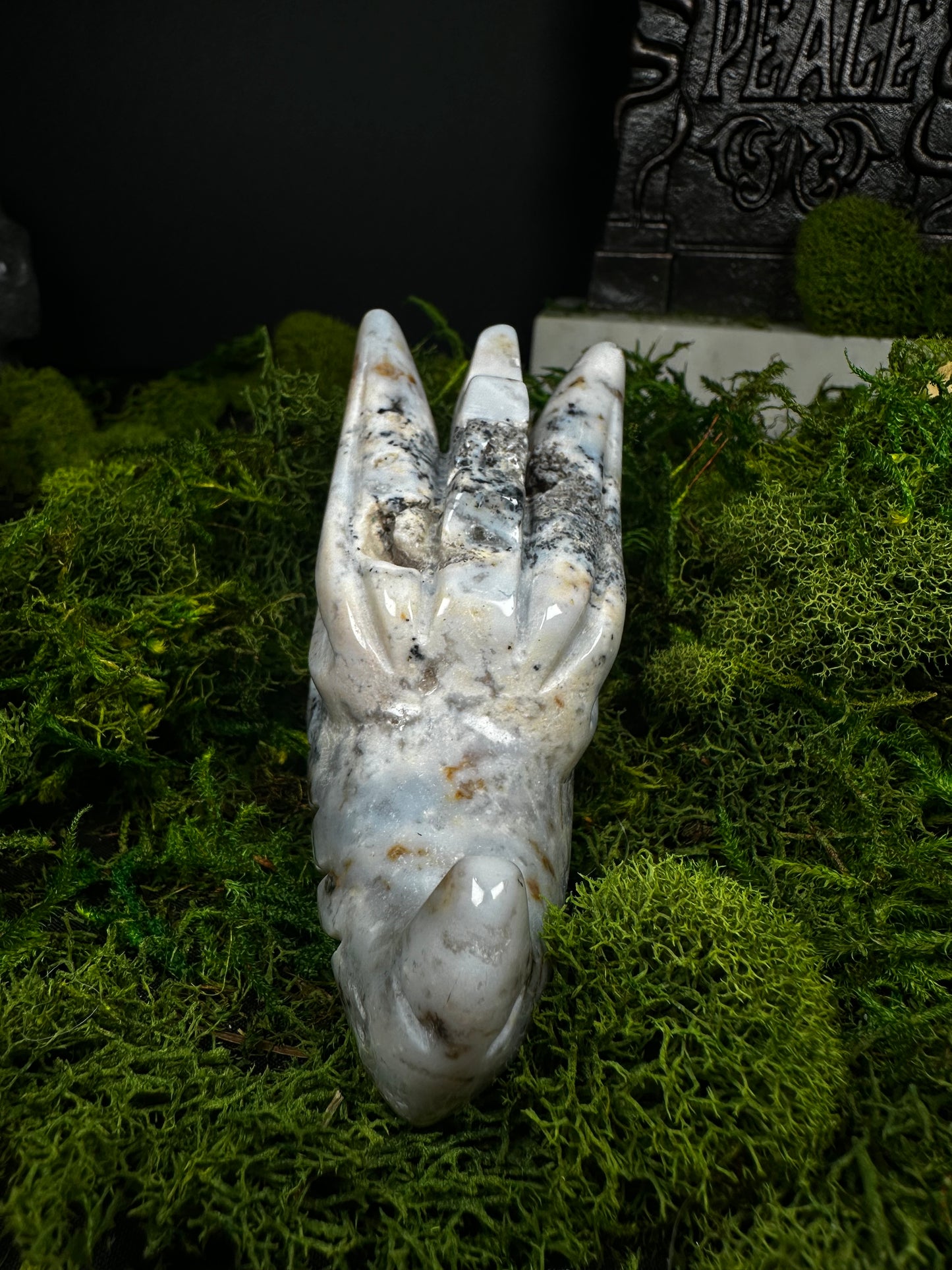 Ocean Jasper Dragon Skull