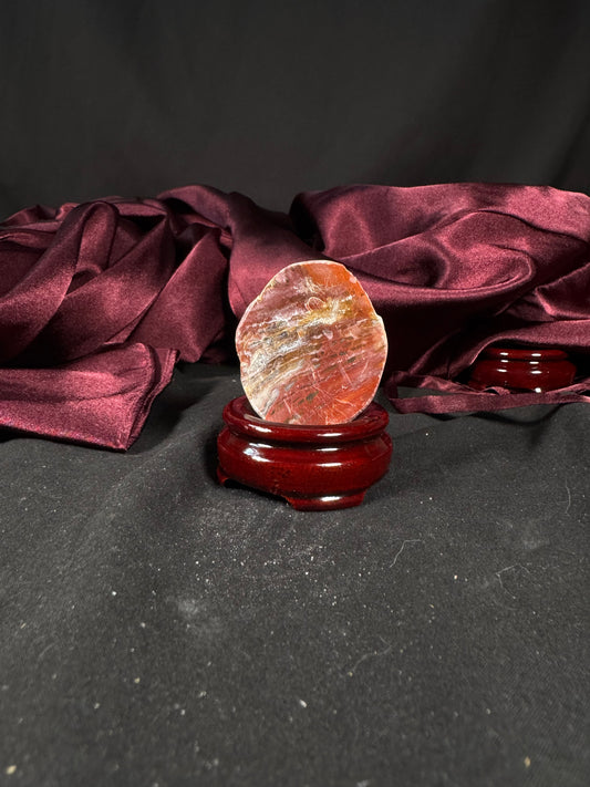 Petrified Wood