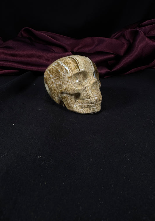 Brown Aragonite Skull