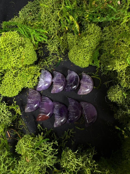 A collection of eight polished amethyst crescent moon carvings displayed on a black fabric backdrop surrounded by vibrant green preserved moss. Each crescent features natural bands and swirls of purple, lavender, and white quartz, with one moon displaying a small reddish inclusion. The polished finish highlights the unique patterns and color variations of every carving, creating an enchanting, nature-inspired display.
