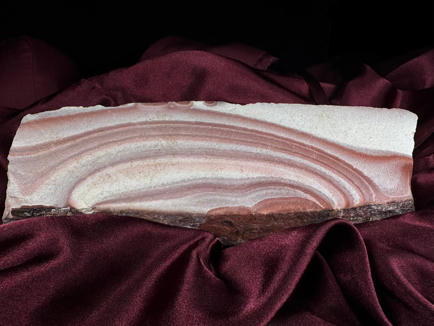 Petrified Wood