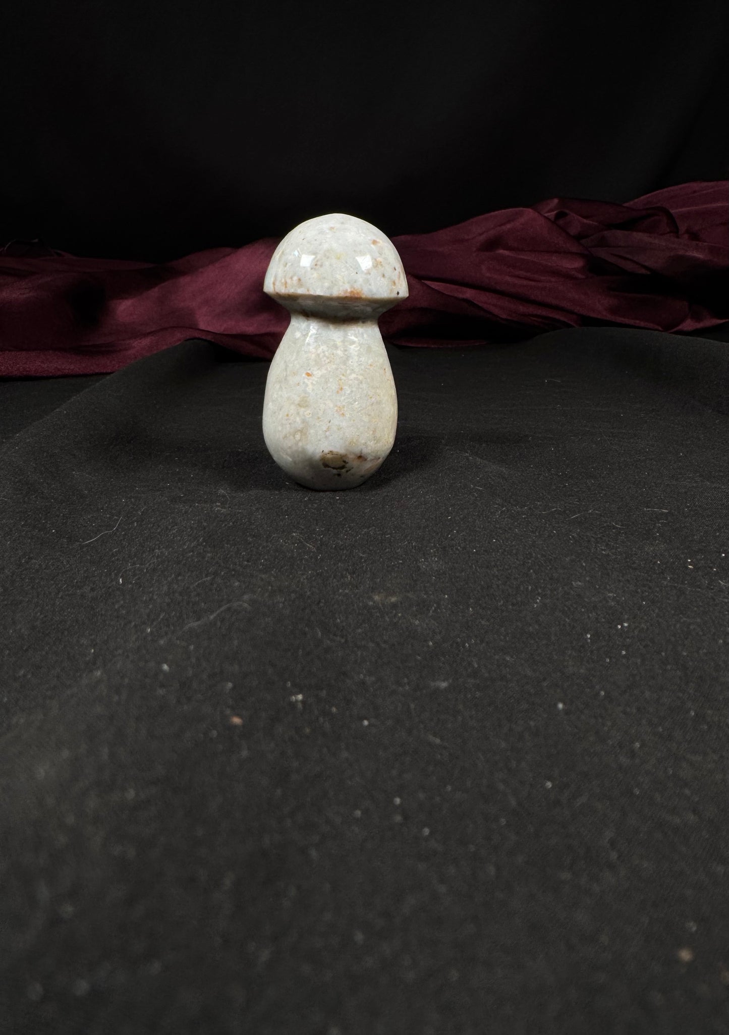 Ocean Jasper Mushroom