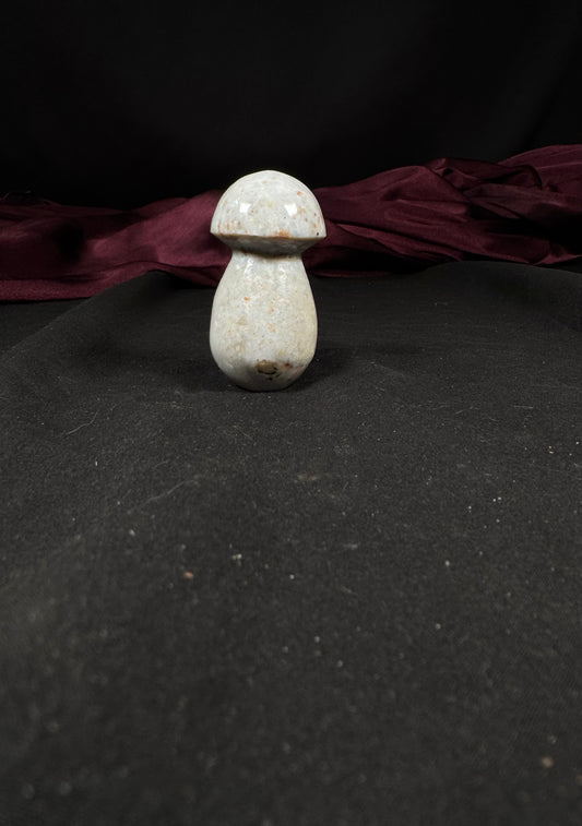 Ocean Jasper Mushroom