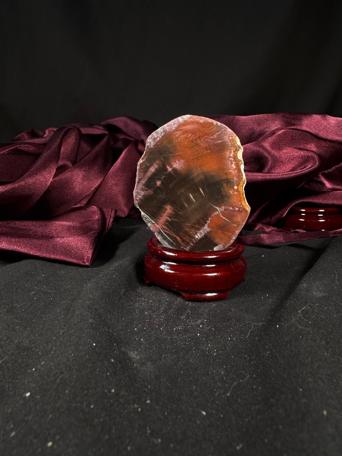 Petrified Wood