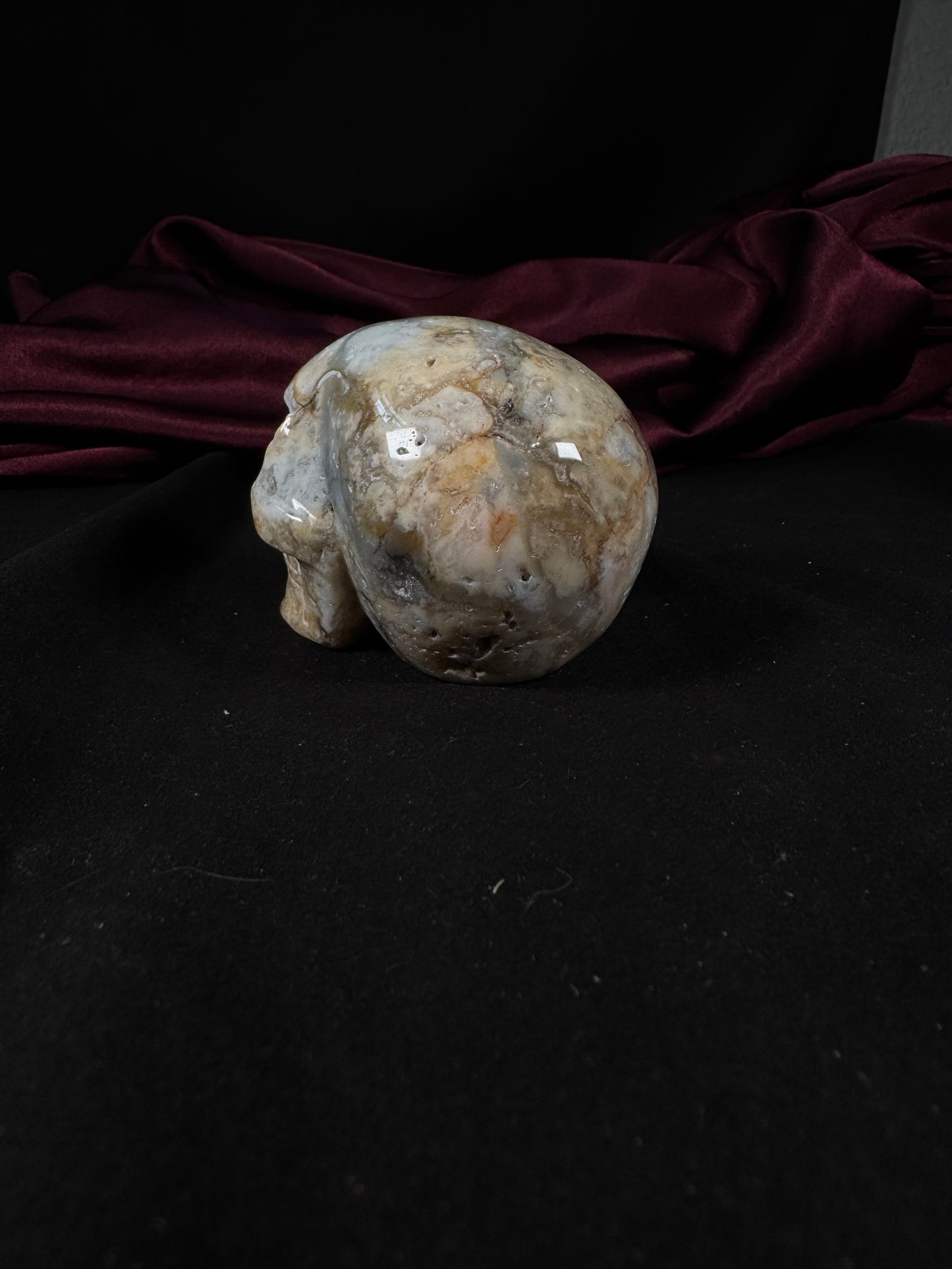 Crazy Lace Agate Skull