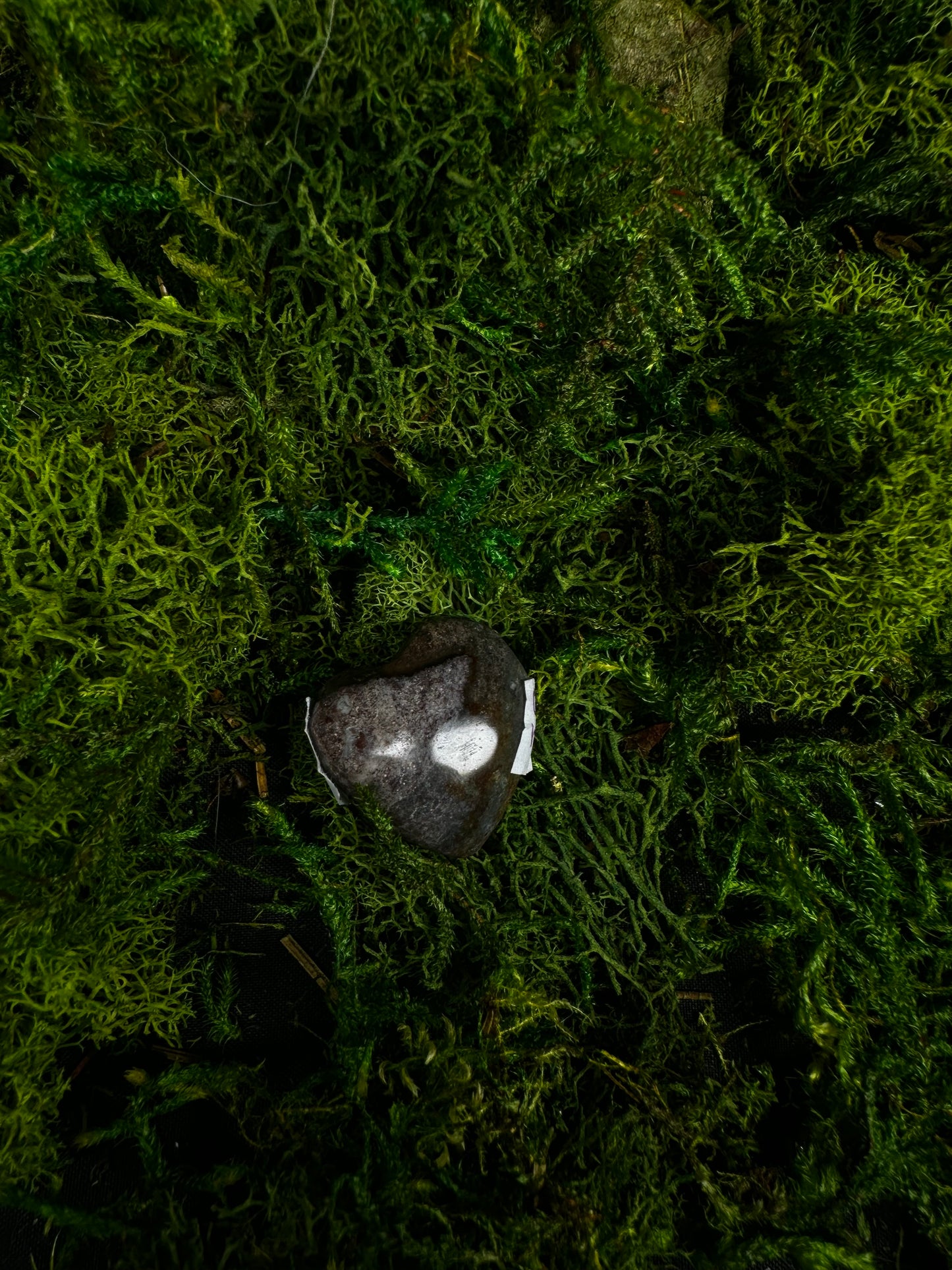 Polychrome Jasper Heart