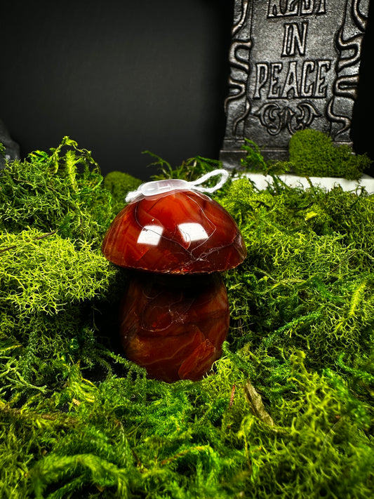 Carnelian Mushroom