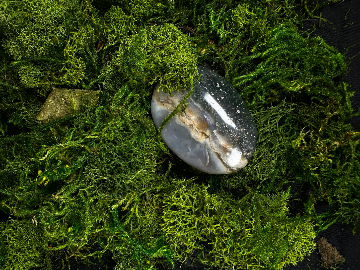 Polished moss agate palm stone resting on a lush bed of preserved green moss. The stone features soft gray and translucent white chalcedony with earthy tan inclusions and natural moss-like dendritic patterns, creating an organic landscape effect. Its smooth, oval shape and glossy finish are highlighted by soft lighting against the rich green botanical backdrop.