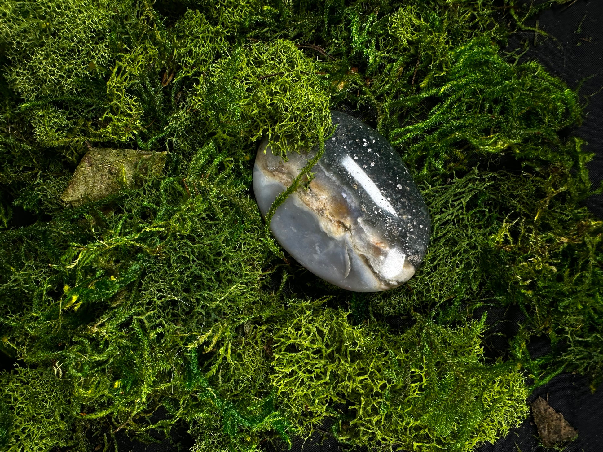 Polished moss agate palm stone resting on a lush bed of preserved green moss. The stone features soft gray and translucent white chalcedony with earthy tan inclusions and natural moss-like dendritic patterns, creating an organic landscape effect. Its smooth, oval shape and glossy finish are highlighted by soft lighting against the rich green botanical backdrop.