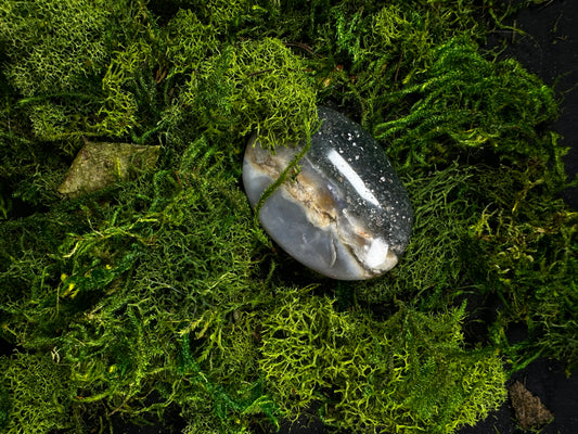 Polished moss agate palm stone resting on a lush bed of preserved green moss. The stone features soft gray and translucent white chalcedony with earthy tan inclusions and natural moss-like dendritic patterns, creating an organic landscape effect. Its smooth, oval shape and glossy finish are highlighted by soft lighting against the rich green botanical backdrop.
